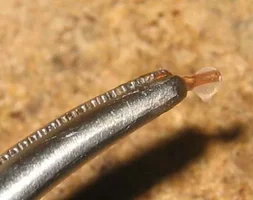 6 cáncamo con araldit.webp