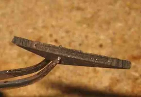 curvabandas 3 mortaja.webp