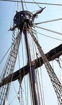 cofa sta maria003.webp