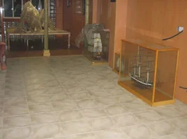 imagenes slot 1540.webp