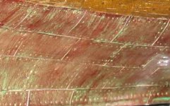 planchas neuchatel.jpg