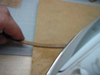 036-2 siguiendo la brusca.jpg