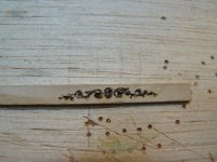 P1010097 [800x600].JPG