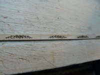 P1010099 [800x600].JPG