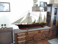 urania araola (Copiar).jpg