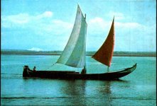 218_Aveiro.jpg 218_Aveiro.jpg