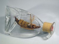 Embarcación birmana 1 (Copiar).jpg Embarcación birmana 1 (Copiar).jpg