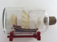 Junco A6.jpg Junco A6.jpg