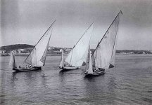 tumblr_m17569fVnv1qbtkrko1_500.jpg tumblr_m17569fVnv1qbtkrko1_500.jpg