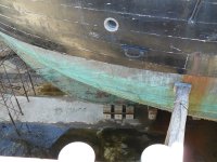 P1010381 [Resolucion de Escritorio].JPG