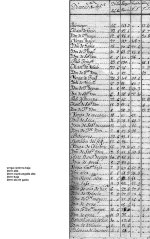 MNM Arboladura Reyna Luisa listada.jpg