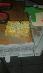 2016-05-02 21.09.50.jpg