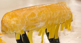 capa transversal.jpg