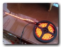 surp.857.JPG surp.857.JPG