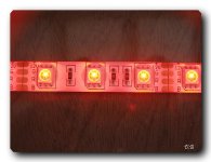 surp.858.JPG surp.858.JPG