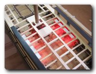 surp.861.JPG surp.861.JPG