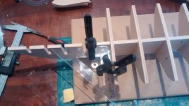 Detalle aplicación cola (2).jpg