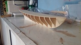 Listo para 1º forro (1).jpg