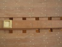 IMG_3077 (Copiar).JPG