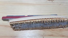 005 IMG_20160417_202423.jpg