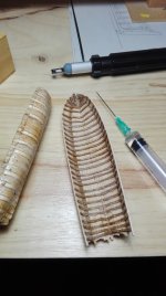 008 IMG_20160417_230047.jpg