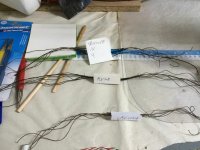 113 Organización.JPG