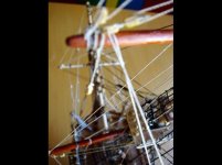 DSC06663 (3) (Copy).jpg