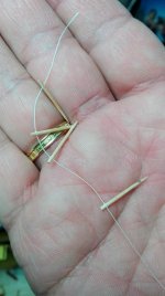 021IMG_20160826_060640 Barrandilla.jpg