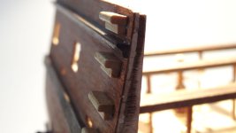 DSC02555.jpg DSC02555.jpg