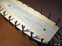 surp.27.jpg surp.27.jpg