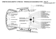 TERMINA POPA AGOSTO 2017comprimida.jpg