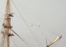 Diana drizas foque.jpg