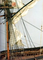 San Genaro foro 1024.jpg