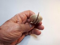 4CF0E109-AD4C-4251-A3E3-FBFA39E21D95.jpeg 4CF0E109-AD4C-4251-A3E3-FBFA39E21D95.jpeg