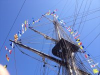 image146.jpg image146.jpg