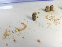 0030 IMG_20190609_123050.jpg