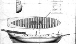 Cazador.jpg Cazador.jpg