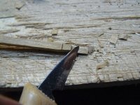 P1010747 [1280x768].JPG