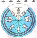 Copia de Copia de 000079456.png