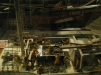 IMGP0374 [1280x768].JPG