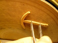 P1010783 [1280x768].JPG