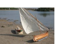 barcot en lago saler.jpg