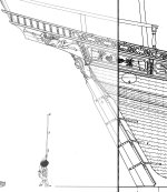 timon requin.jpg timon requin.jpg