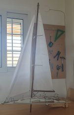 cubierta Freedom.jpg