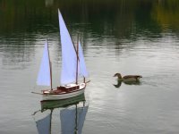 borinquen.jpg borinquen.jpg