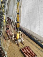 Cangreja_05.JPG Cangreja_05.JPG