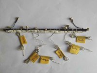 Cebaderas_05.jpg Cebaderas_05.jpg