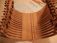 Seccion Hermione 001.jpg