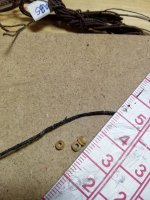 001 IMG_20200303_164020.jpg