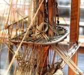 cofa diana.jpg cofa diana.jpg